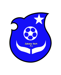 Logo del equipo 540732