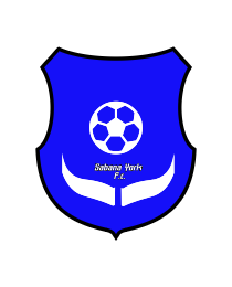 Logo del equipo 540732