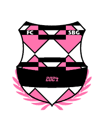 Logo del equipo 555111
