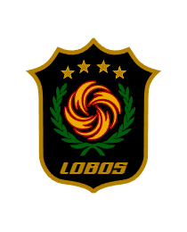 Logo del equipo 621857