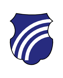 Logo del equipo 781076