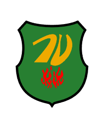 Logo del equipo 782989