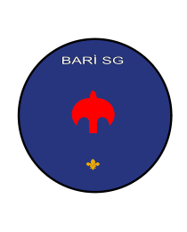 Logo del equipo 852706