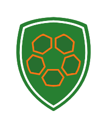 Logo del equipo 860025