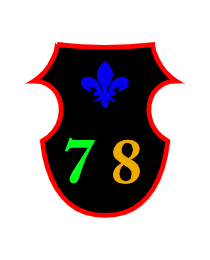 Logo del equipo 868482