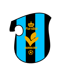 Logo del equipo 2117219
