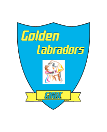 Logo del equipo 2012512