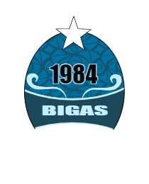 Logo del equipo 91640