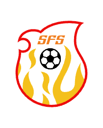 Logo del equipo 31040