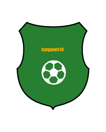 Logo del equipo 39885