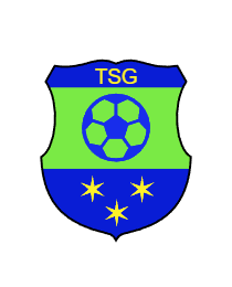 Logo del equipo 53801