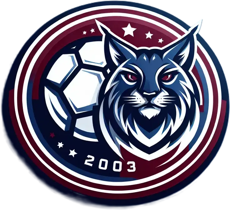 Logo del equipo 986698