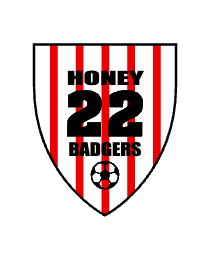 Logo del equipo 978215