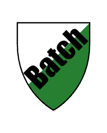 Batch911