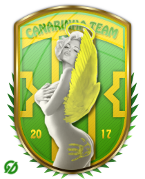 Logo del equipo 1661352