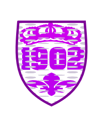 Logo del equipo 154913