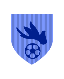 Logo del equipo 182307