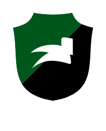 Logo del equipo 189601