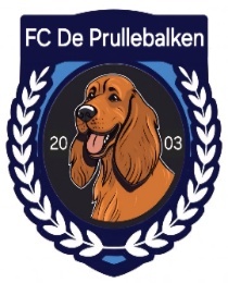 Logo del equipo 191009