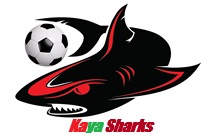 Logo del equipo 2123843