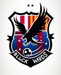 Logo del equipo 2156118