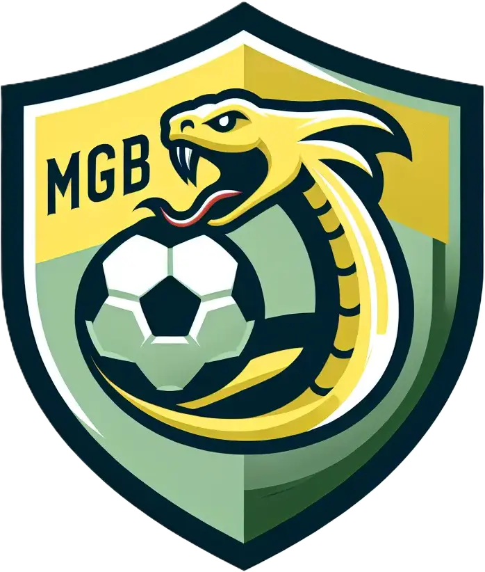 Logo del equipo 2190726