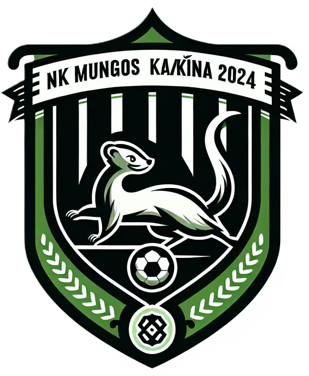 Logo del equipo 2222428