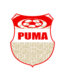 Logo del equipo 2222562