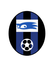 Logo del equipo 2223707