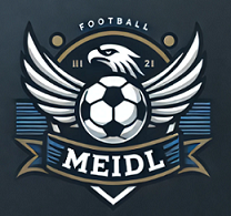 Logo del equipo 2225251