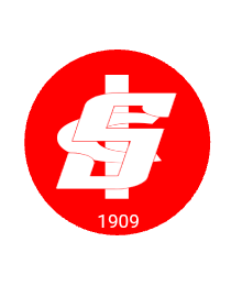 Logo del equipo 2238582