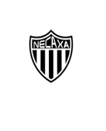 Logo del equipo 2257293