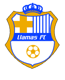 Logo del equipo 2258150