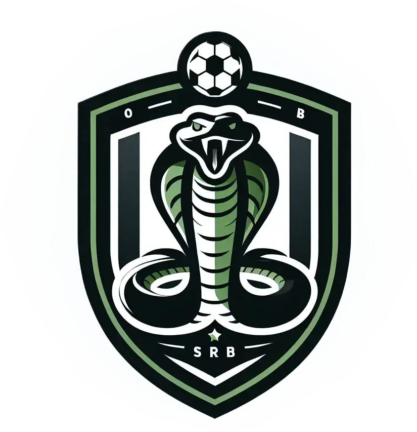 Logo del equipo 2267133