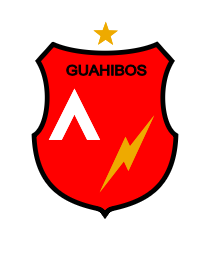 Logo del equipo 2318800