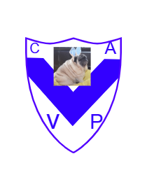 Logo del equipo 214206