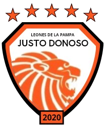 Logo del equipo 290023