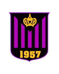 Logo del equipo 311055