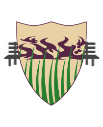 Logo del equipo 361548