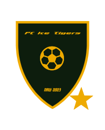 Logo del equipo 519419