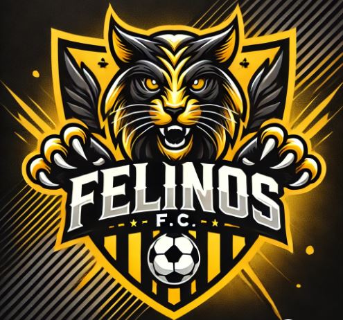 Logo del equipo 541150