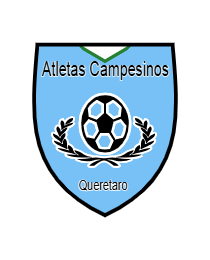 Logo del equipo 620196