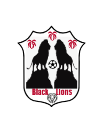 Logo del equipo 2152157