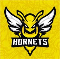 Hornets SV