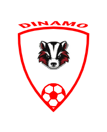 Logo del equipo 2246033